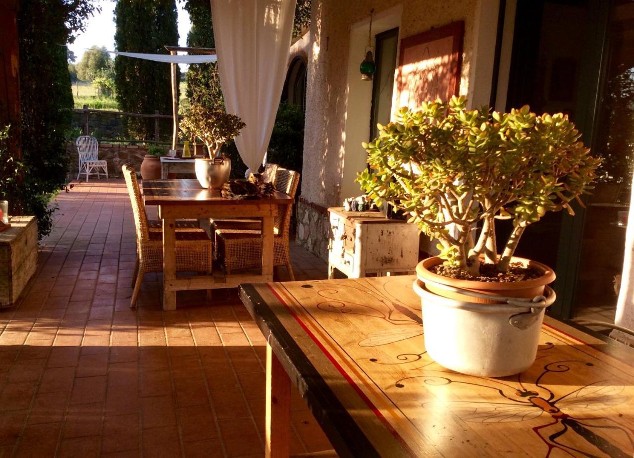 At Home In Maremma Istia dʼOmbrone Extérieur photo